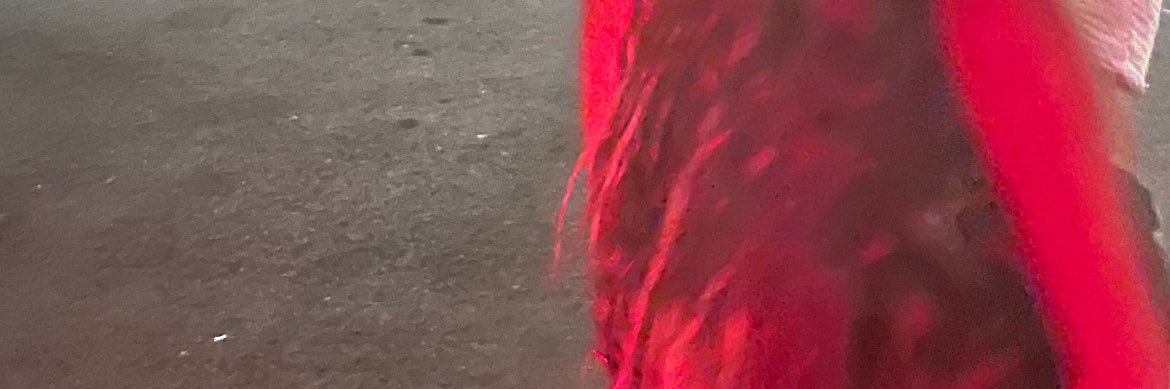 zarriasimone's banner