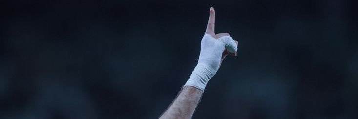 🦅's banner