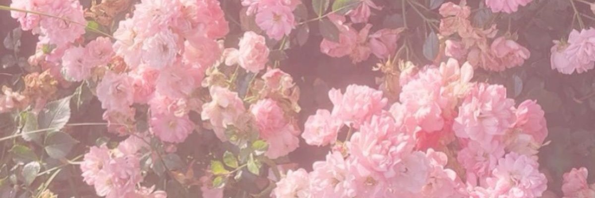 lucian °❀.ೃ࿔'s banner