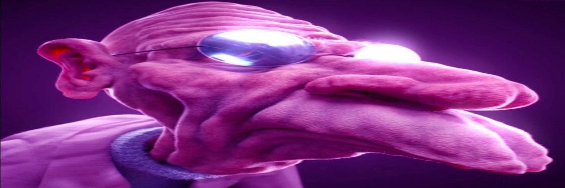 dog from rick and morty (2013)'s banner