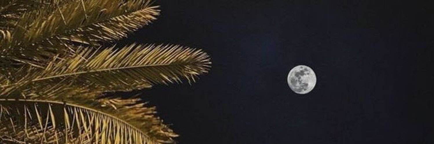 Amani🇸🇦's banner