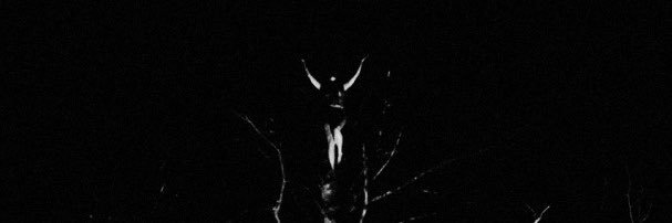 𝔅𝔢𝔩𝔩𝔞࣪𖤐𝔖𝔱𝔯𝔢𝔤𝔞's banner