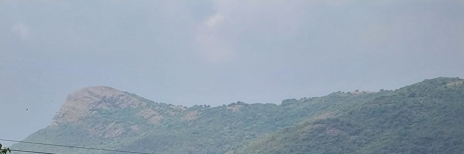 Sinduja Rajendran:தமிழ்நாட்டை தலைகுனிய விடமாட்டேன்'s banner