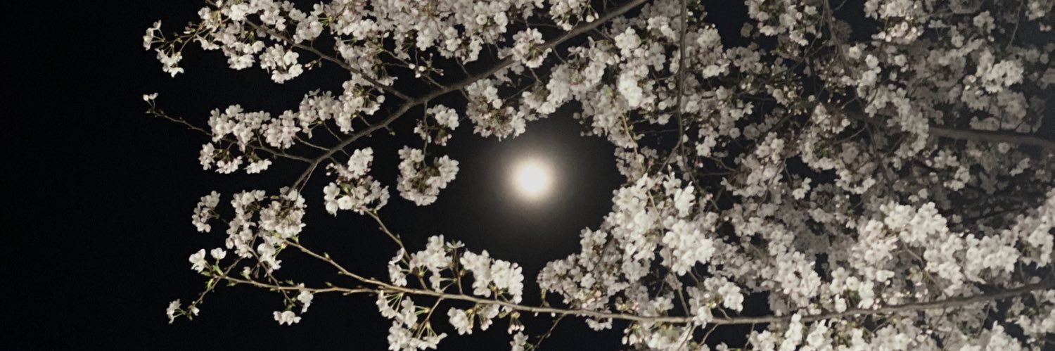 星月らら's banner