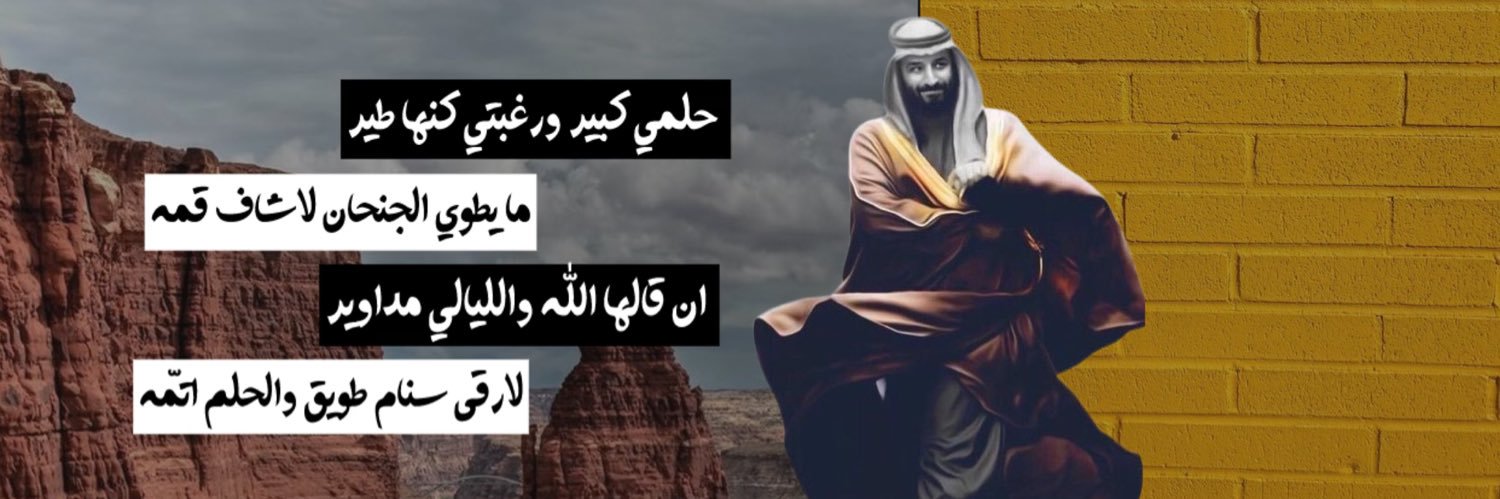 وصايل الغانمي's banner