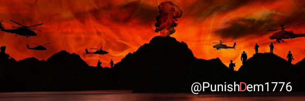 🔥The Punisher🔥's banner