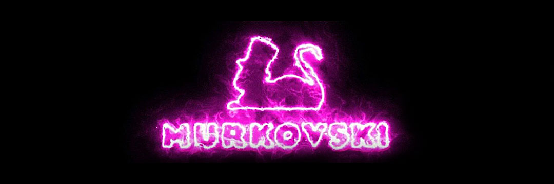 Nicole Murkovski's banner