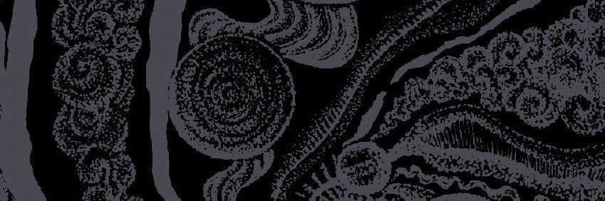 KanryO's banner