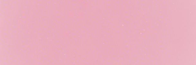 𝐘𝐨𝐠𝐮𝐫𝐭🐾's banner