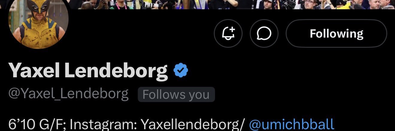 Yaxel Lendeborg Muse's banner