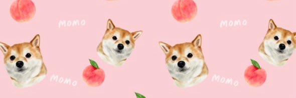 豆柴モモ's banner