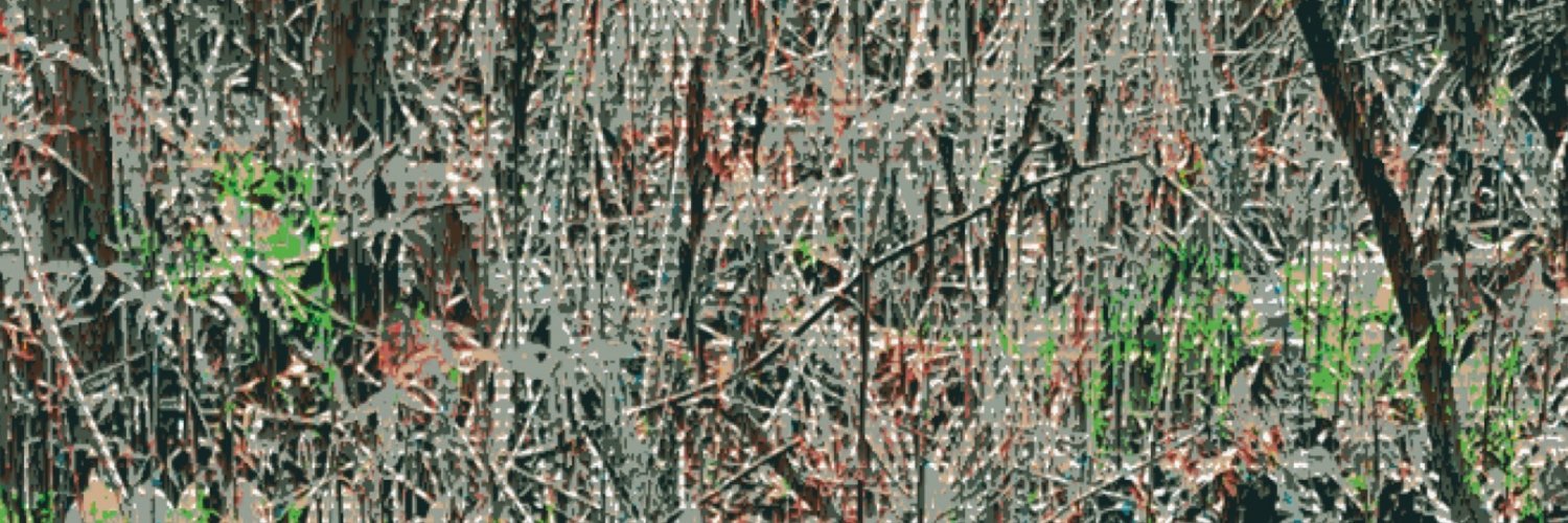 Xyla ☾'s banner