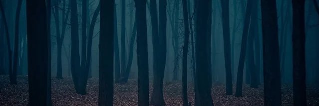 Антагонист's banner
