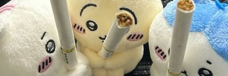 Hanny ⋆ᵎᵎ's banner