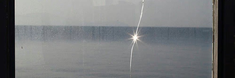 Wiush's banner