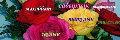 Коалушка's banner