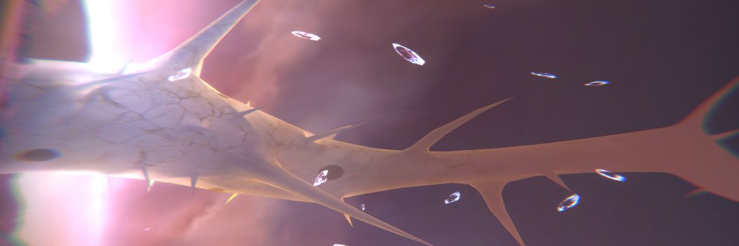 赤い紅(別個体)'s banner