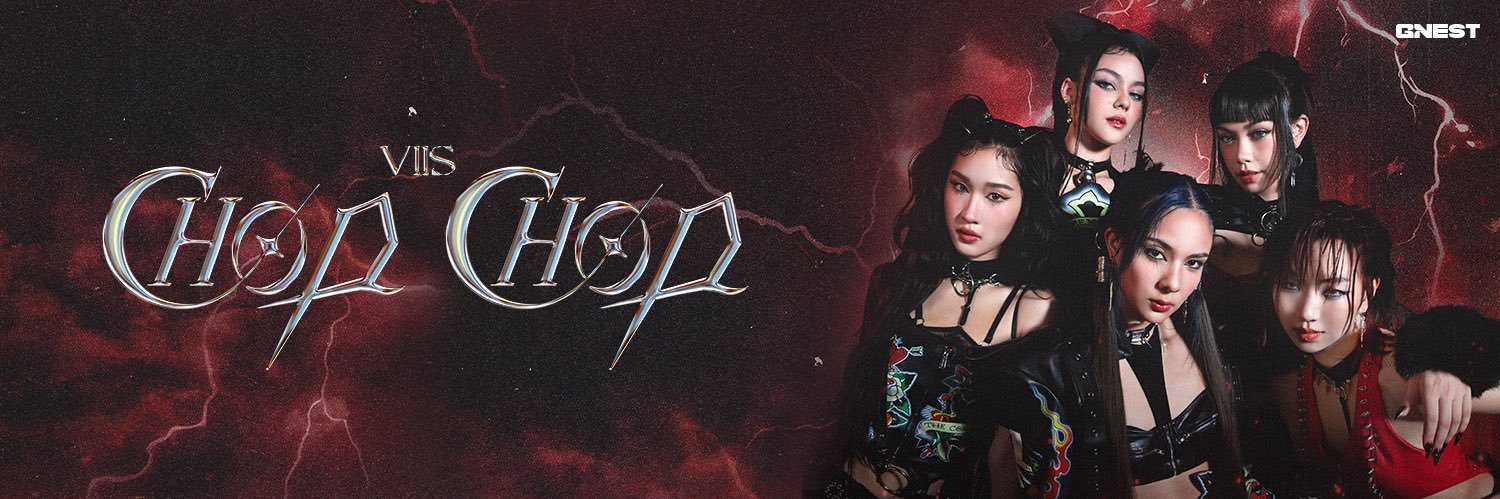 VIIS Official's banner