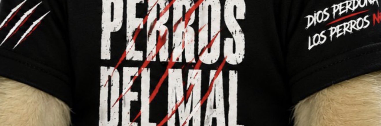 karmen petrovic 🗡's banner