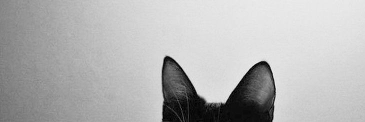 𝑨𝒎𝒊𝒓𝒂❓'s banner