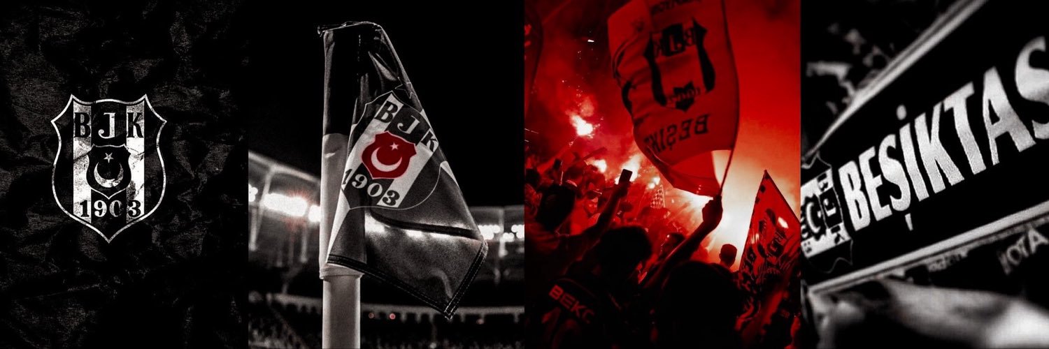 göksel fernandes's banner