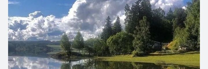 سلين حمدي's banner