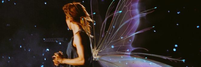 ana senna's banner