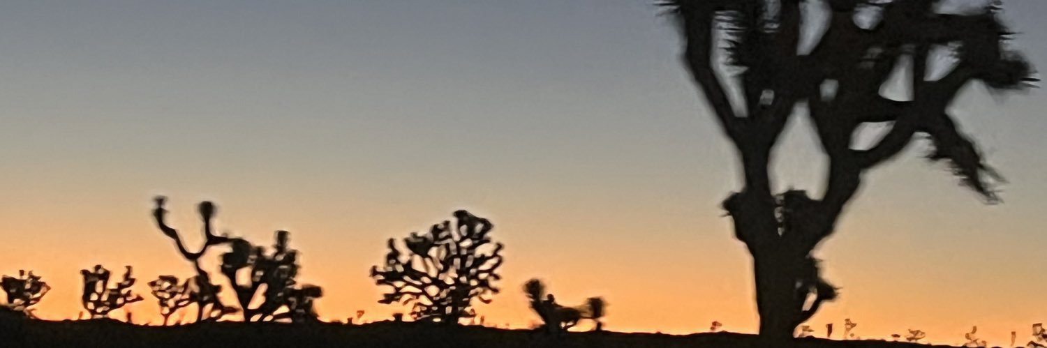 iratelover's banner