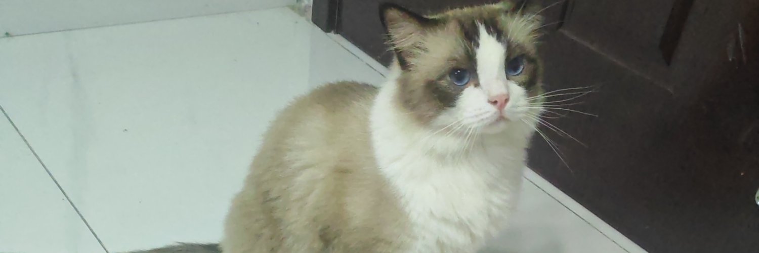 猛萌香大大大王's banner