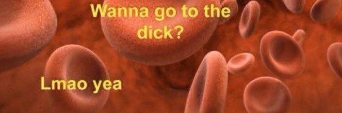 😛's banner