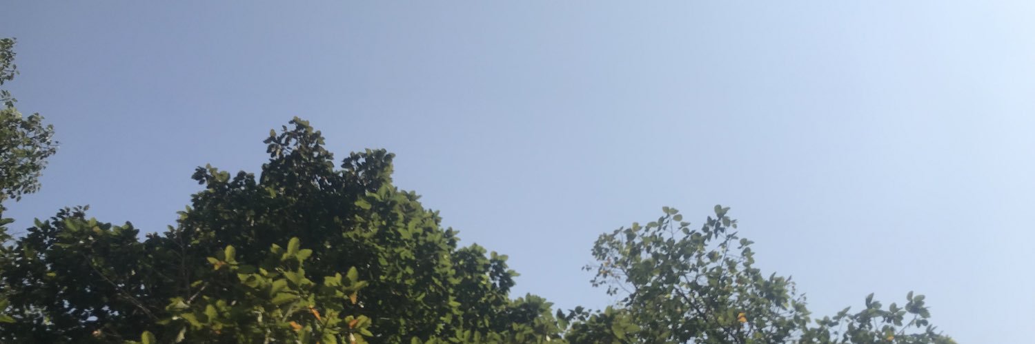 (Hano)'s banner