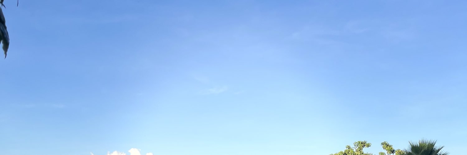 ballon's banner