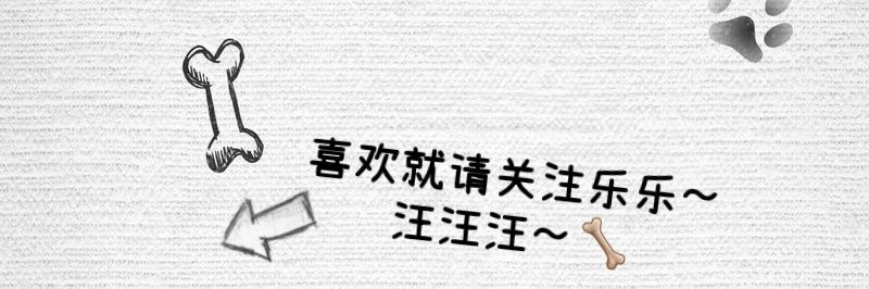 是乐乐！'s banner