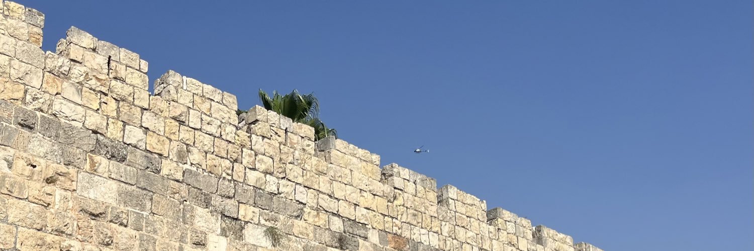 רוני גרין שאולוב - Roni Green Shaulov's banner