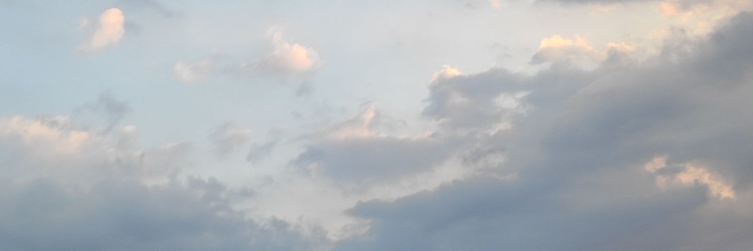 Denisse peralta's banner