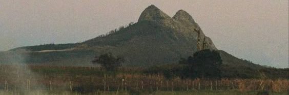 𝓓𝓸𝓬_𝔃𝓮𝓮 ✧'s banner