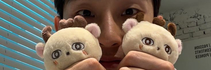 L 🐰's banner