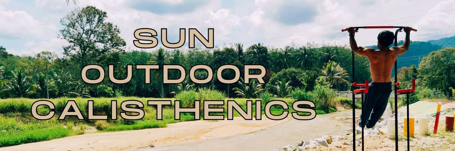 Nikki Sol ☀️'s banner