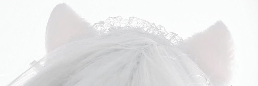 ˚₊‧꒰აsannie໒꒱ ‧₊˚'s banner