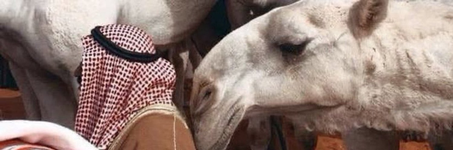 مـيلاف's banner