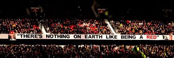 IMole's banner