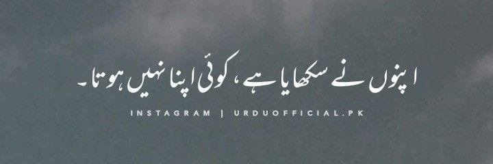 Ilyas_Abbasi🌺's banner