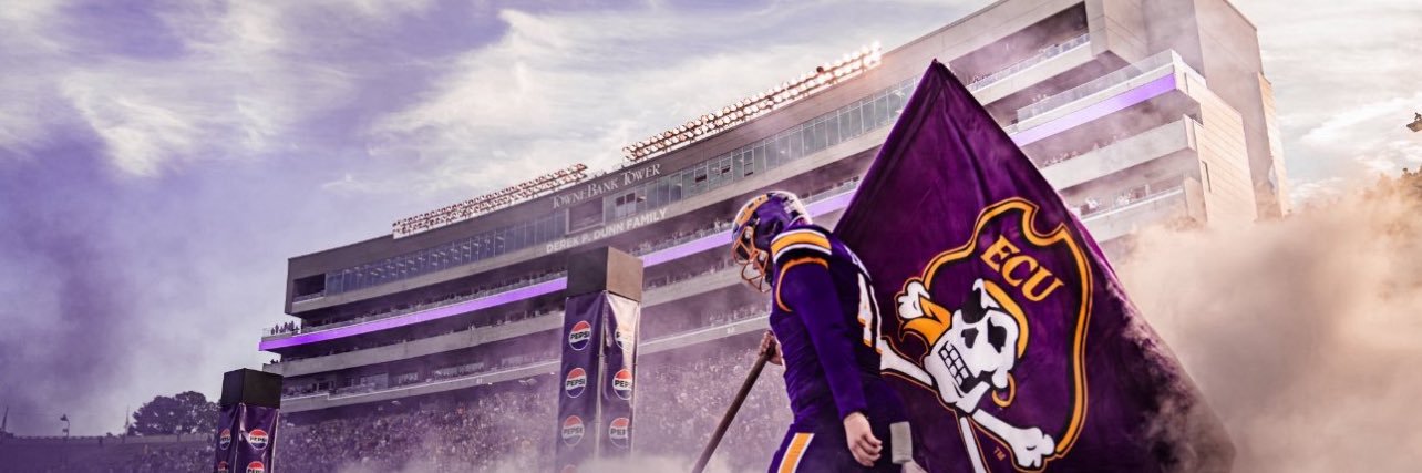 State of the Pirates's banner