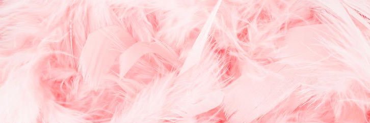 Cece 💕's banner