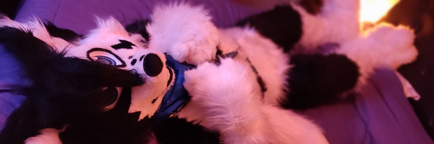Pochi Collie 🖤🤍's banner