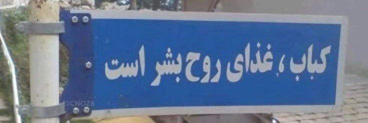 دیکتاتورِ بالرین🦩's banner