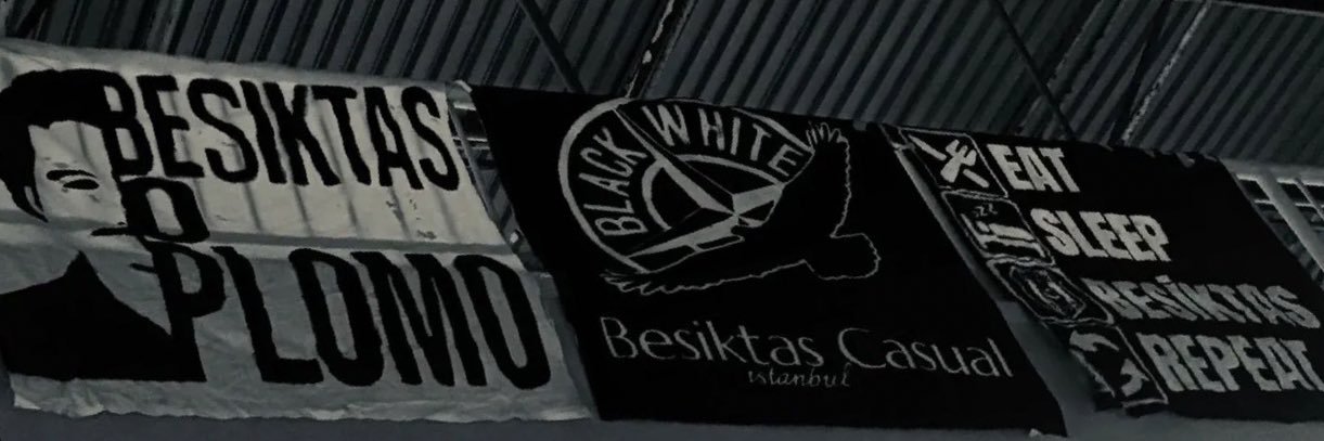 BJKcouting¹⁹⁰³'s banner