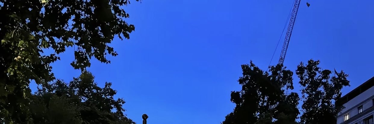 7's banner