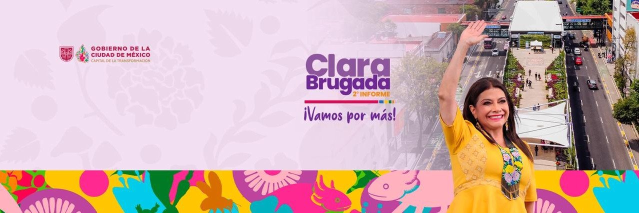 OVIAL_SSCCDMX's banner