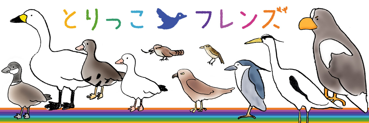 とりっこフレンズ【公式】's banner